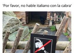 Enlace a Está prohibido