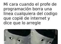 Enlace a ¿Y ahora qué?
