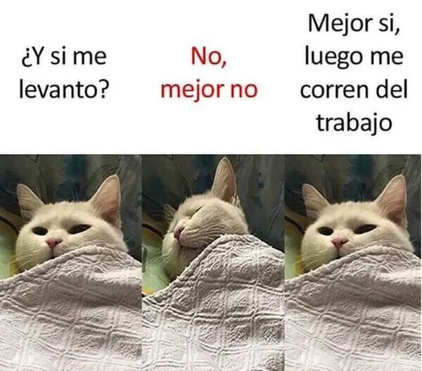 Meme_otros - No me queda otra