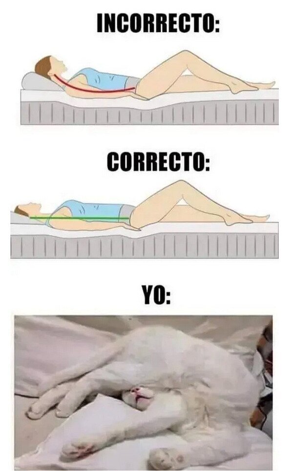 Meme_otros - Diferentes maneras de dormir