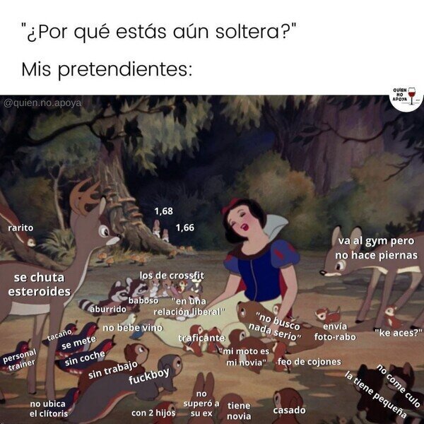 Meme_otros - Ninguno es perfecto