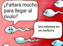 Enlace a ¿Nunca lo habéis pensado?