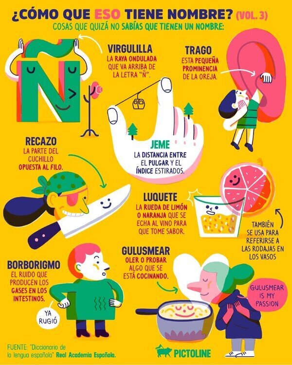 Meme_otros - Cosas que no sabías que tenían un nombre