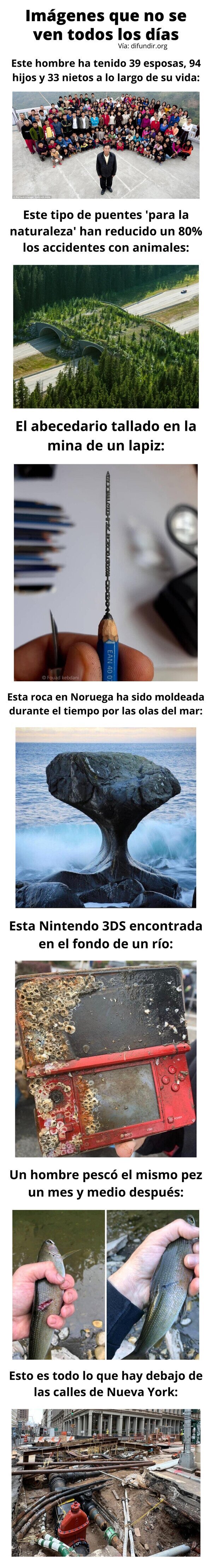 Meme_otros - Imágenes que no se ven todos los días