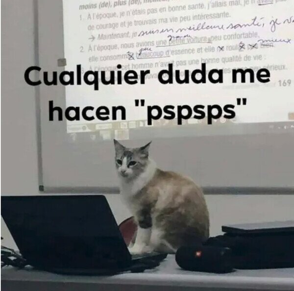 Otros - El profesor gato