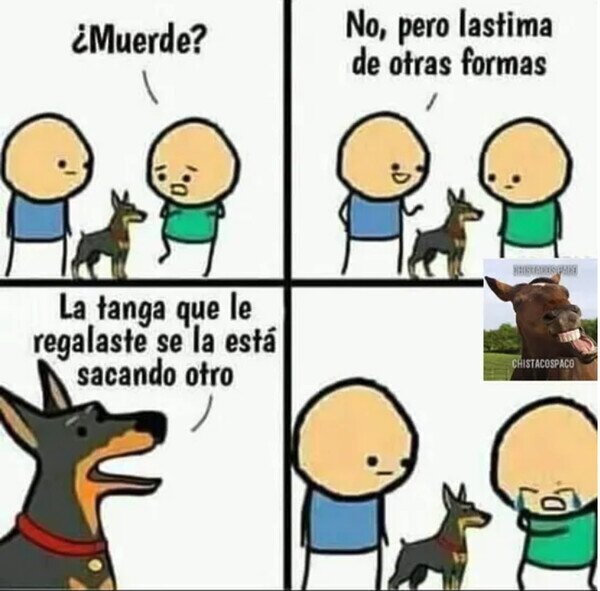 Meme_otros - El perro que hiere