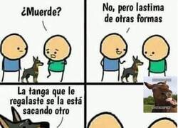 Enlace a El perro que hiere