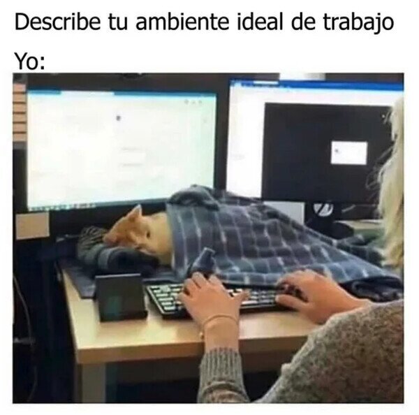 Otros - Con el Misifú cerquita