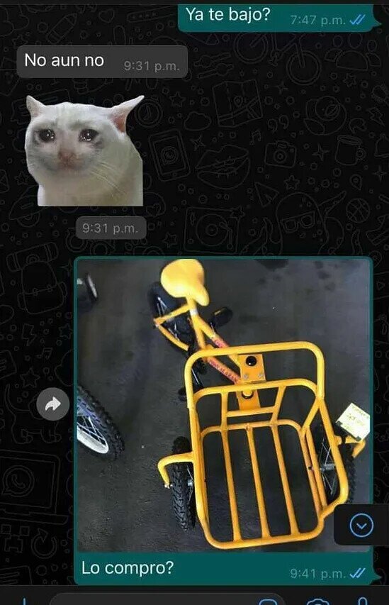 Meme_otros - Empiezo a planear mi partenidad