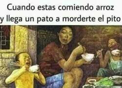 Enlace a Me pasó el otro día