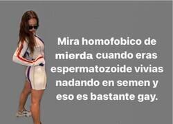 Enlace a Para los homófobos