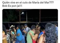 Enlace a Desde aquí puedo verte, Bob