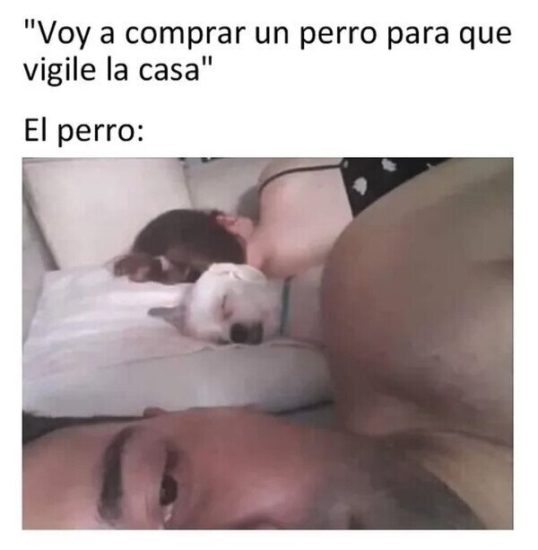 Otros - Pero es tan bonito así dormidito...