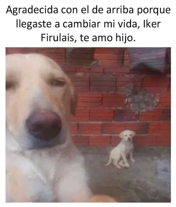 Meme_otros - Madres jóvenes en redes sociales be like