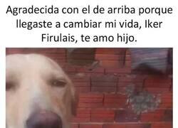 Enlace a Madres jóvenes en redes sociales be like