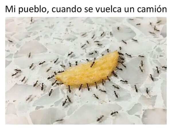 Meme_otros - Lleno de curiosos
