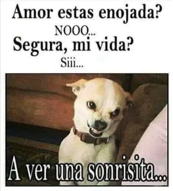 Meme_otros - No, no estoy enfadada...