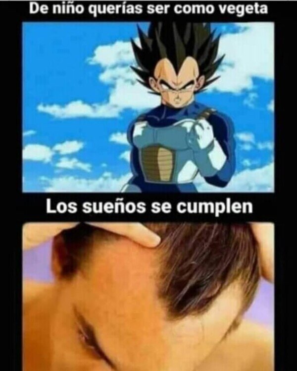Otros - Mi sueño era ser como Vegetta