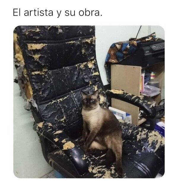Meme_otros - Son años de trabajo y dedicación