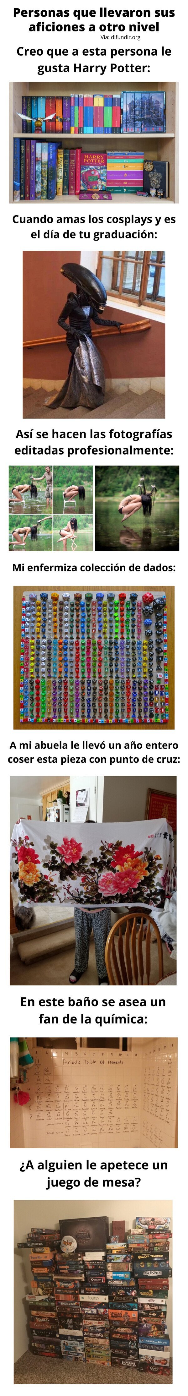 Meme_otros - Personas que llevaron sus aficiones a otro nivel