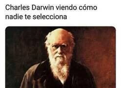 Enlace a La selección natural no funciona conmigo