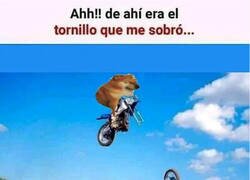 Enlace a Que fallo más tonto...