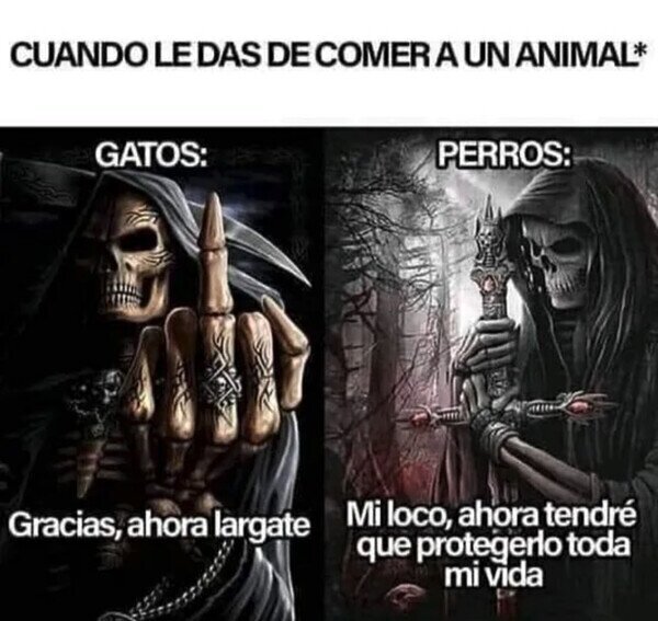 Otros - Cuando das de comer a un animal