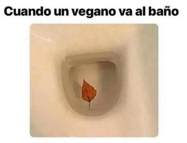 veganos,baño,hoja,defecar