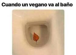 Enlace a Veganos haciendo cosas de veganos