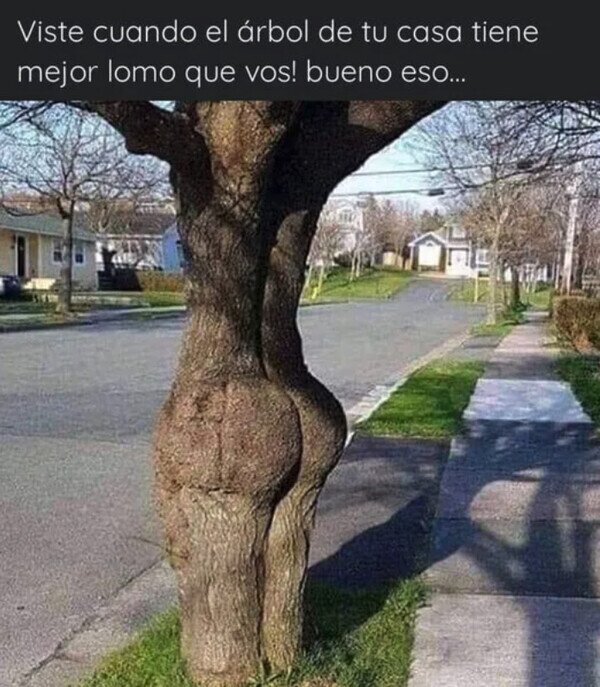 Otros - Estúpido y sensual árbol