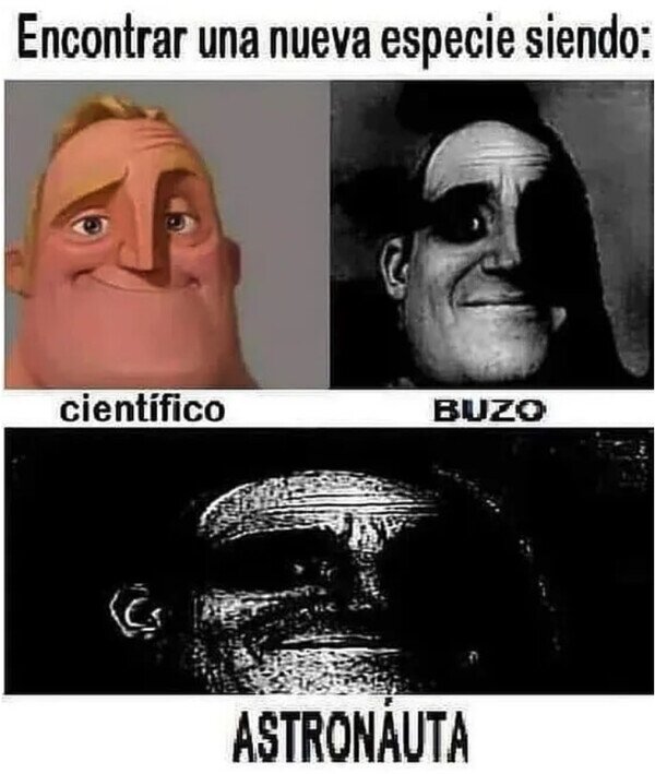 descubrir,especies,nuevas,científico,astronauta,buzo
