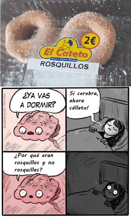 Cerebra,feminismo,rosquillas,dormir