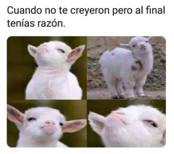 Meme_otros - Os lo dije