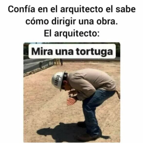 Meme_otros - El arquitecto sabe lo que hace