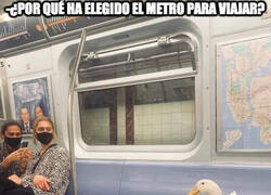 Enlace a ¿Un pato en el metro?