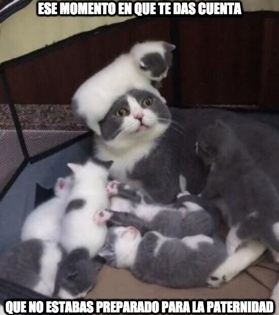 Meme_otros - Ese momento en que te das cuenta que no estabas preparado para la paternidad