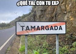 Enlace a ¿Qué tal con tu ex?