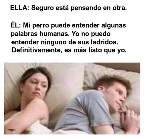 Meme_otros - Pienso en lo listo que es mi Firulais