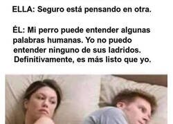 Enlace a Pienso en lo listo que es mi Firulais