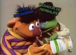 Enlace a No paran de aparecer estos del herbalife...