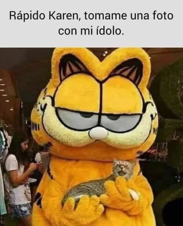 Otros - Misifú es fan suyo