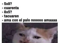 Enlace a Me pegan por tonto