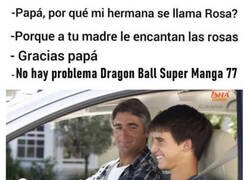 Enlace a Cuestión de gustos