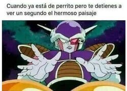 Enlace a Contemplando