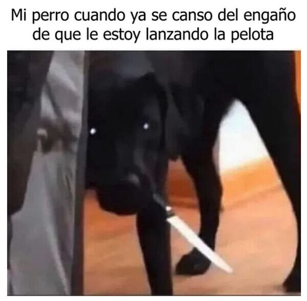 Meme_otros - Vale ya de juegos, humano