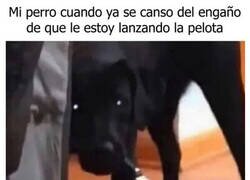 Enlace a Vale ya de juegos, humano