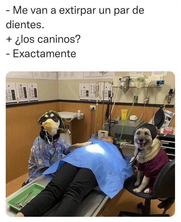 Otros - Sí, ellos lo harán