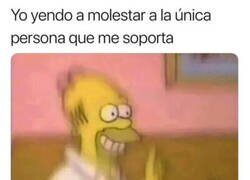 Enlace a Pronto dejará de soportarme también