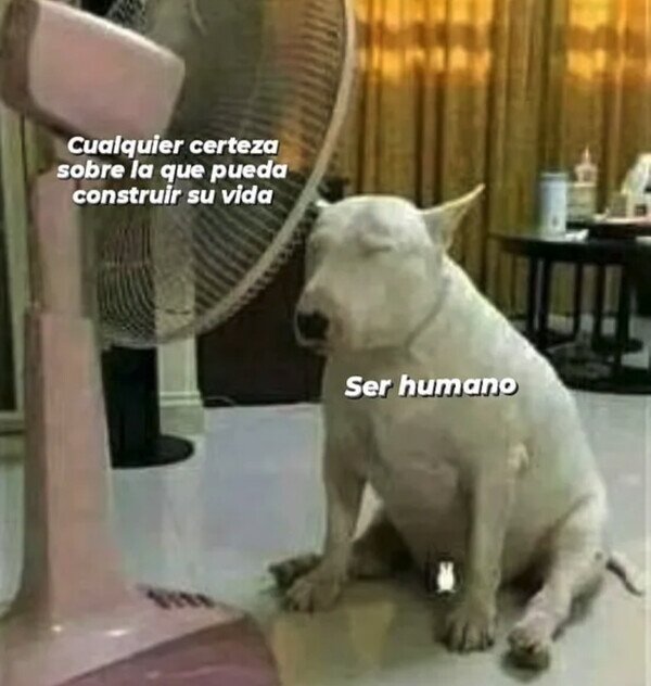 Meme_otros - Solo buscamos un motivo para seguir vivos