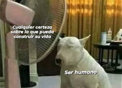 Enlace a Solo buscamos un motivo para seguir vivos